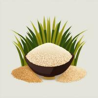 rice grain illustration photo