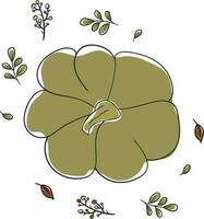 A cute pastel green pumpkin and plant sprigs doodle style view from above vector