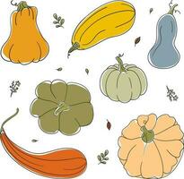 Set of seven different pumpkins and plant sprigs isolated on white background vector