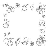 Hand drawn vector set cherry. Isolated, on a white background