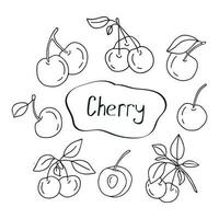 Hand drawn vector set cherry. Isolated, on a white background