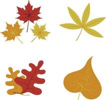 Autumn leaves set, isolated on white background. simple cartoon flat style, vector illustration.