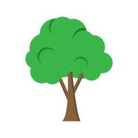 árbol icono vector diseño ilustración aislado en blanco antecedentes