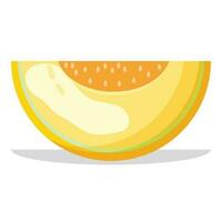 Cute fresh yellow melon illustration vector