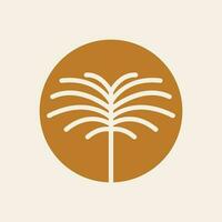 Bohemian palm tree vector icon design. Tropical vector logo design. Minimalistic geometric style.
