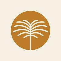 Bohemian palm tree vector icon design. Tropical vector logo design. Minimalistic geometric style.