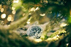 Green Christmas tree covered snow with white decorative bulb and yellow garlands lights bokeh photo