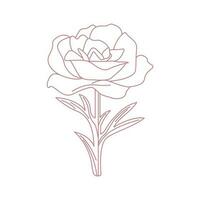 Rose vector drawing design. Floral icon sketch design.