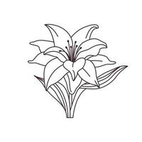 Lily flower vector drawing. Floral graphic design icon.