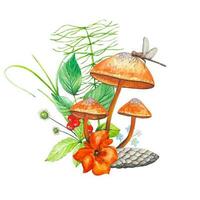 Forest watercolor composition. Illustration with colorful mushrooms, forest herbs, cone, flower. vector