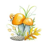 Autumn forest watercolor composition. Illustration with mushrooms, dry leaves, cone, snail. vector