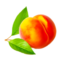 peach with a leaf Generative Ai png