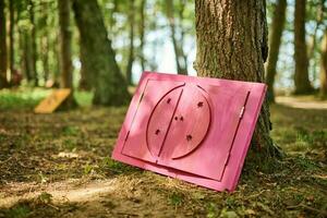 Fairy tale small door leaning on tree trunk in forest, little art object from wonderland photo