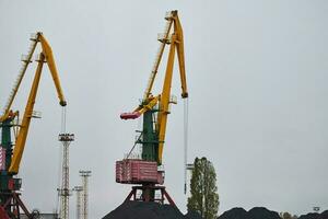 Harbor cranes, container ship terminal, cargo container yard photo