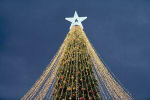 Christmas tree with yellow garlands, decorative bulbs and big white star topper at night blue sky photo