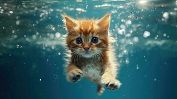 linda gato nadando submarino ai generado foto
