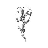 Hand drawn sketch of balloons isolated on white background. Template for postcard, banner, poster, web design. Back to School. vector