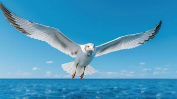 Flying Seagull on Blue Sky AI Generated photo