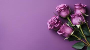 Purple roses on purple background AI Generated photo