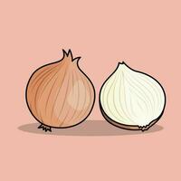 The Illustration of Onions vector