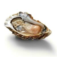 Fresh Oysters Isolated on White Background AI Generated photo