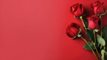 Red roses on red background photo