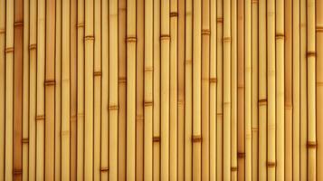 Bamboo Background aesthetic photo