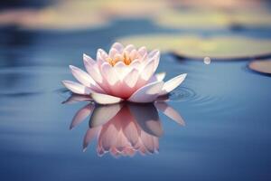 A floating lotus flower on the calm surface of a pond symbolizes the potential for transformation and spiritual growth through the practice of meditation and mindfulness. photo