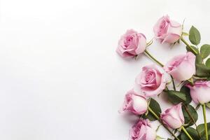 Close up of blooming pink roses flowers and petals isolated on white table background. Floral frame composition. Decorative web banner. Empty space, flat lay, top view. photo