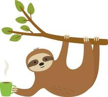 Sloth holding cup vector