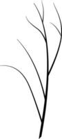 Branch for decoration and design. vector