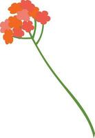 Flowers branch for decoration and design. vector