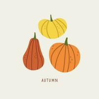 Autumn template with pumpkins, fall mood vector illustration for banner, greeting card, polygraph, label, print. Background for Thanksgiving Day, Halloween and autumn holidays. Design element