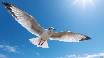 Flying Seagull on Blue Sky AI Generated photo