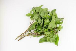 Fresh green basil leaves isolated on white background. Top view. Flat lay. photo