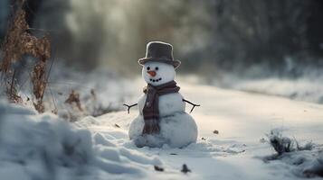 Snowman Background aesthetic photo