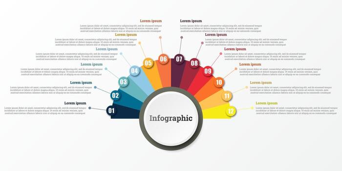 Infographic that reports about the workflow in each step with a total of 12 topics. vector
