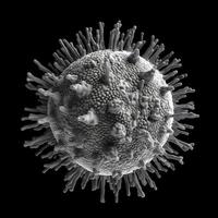 COVID19 virus . Electron microscopic view . Created by generative AI . photo