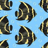 Seamless pattern with French Angelfish or Pomacanthus paru vector