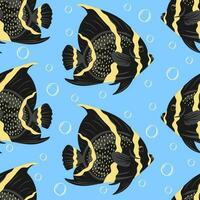 Seamless pattern with French Angelfish or Pomacanthus paru vector