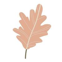 Simple Autumn oak leaf. Hand drawn element for autumn decorative design, halloween invitation, harvest or thanksgiving vector