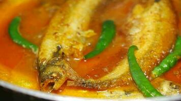 a fish dish with green peppers and tomato sauce video