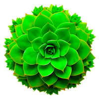 Green succulent plant illustration Generative Ai png