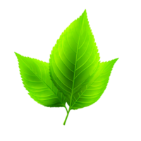 Realistic Leaves Generative Ai png