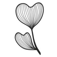 Line Art Leaf png