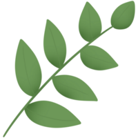 green leaves for decoration png