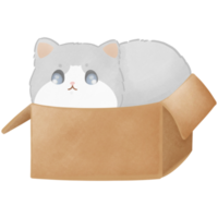 carino contento gattino png