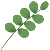 groen bladeren voor decoratie png