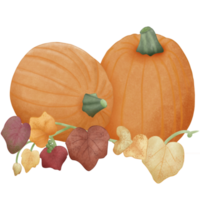 Autumn big pumpkin png