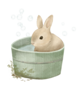 vattenfärg årgång teckning av en söt kanin, vattenfärg tecknad serie vykort, pastell Färg png
